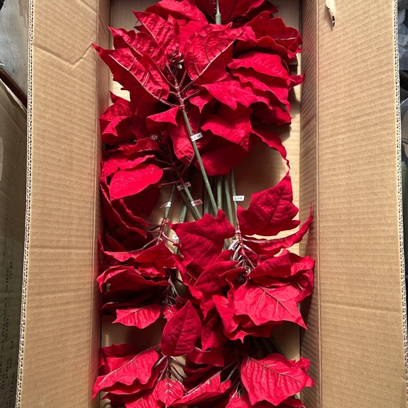 Balsam Hill Poinsettia 12 Set Picks Christmas Tree New - Picture 1 of 12